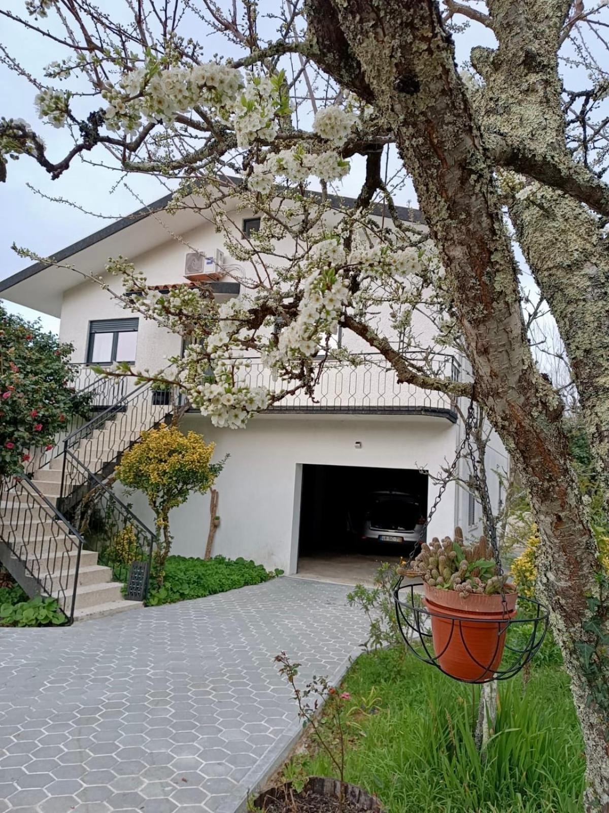 Casa De Fraguas Arouca Exterior foto